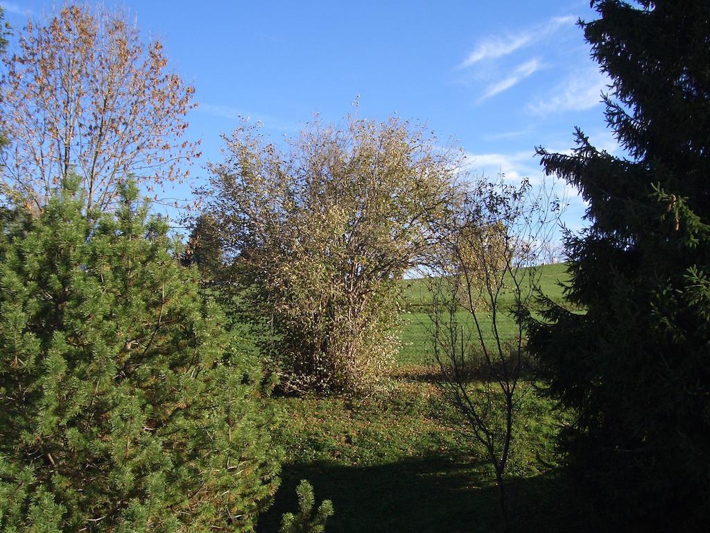 Gaestehaus Guggomos "Hopfen Am See" ฟุสเซ่น ห้อง รูปภาพ