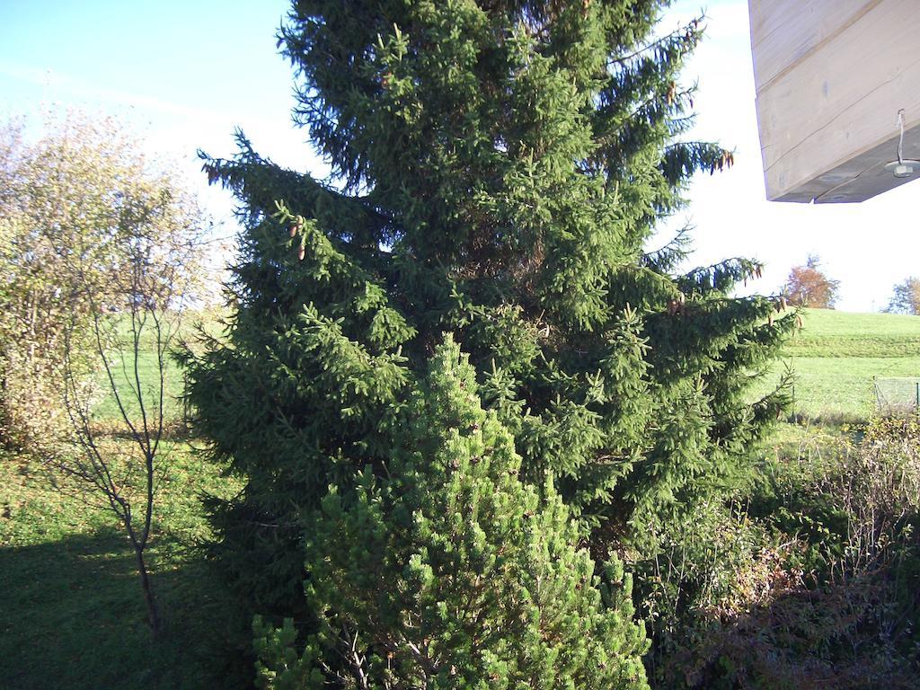 Gaestehaus Guggomos "Hopfen Am See" ฟุสเซ่น ภายนอก รูปภาพ